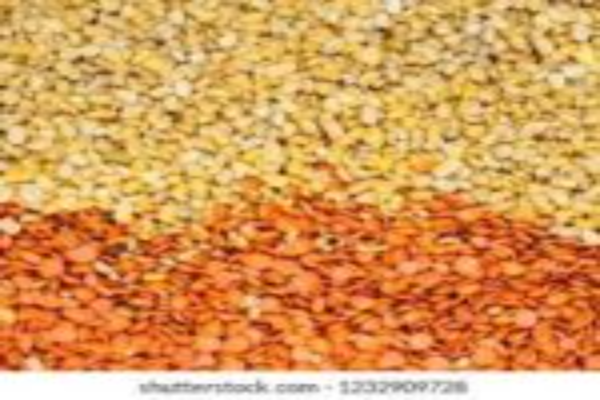 download-resizehood.com (12)