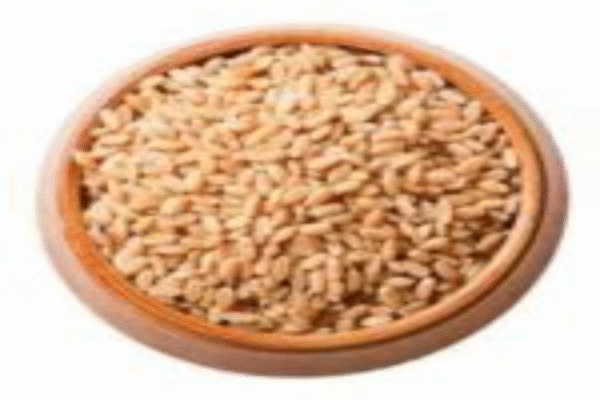 Ghau Tukda ( Wheat )